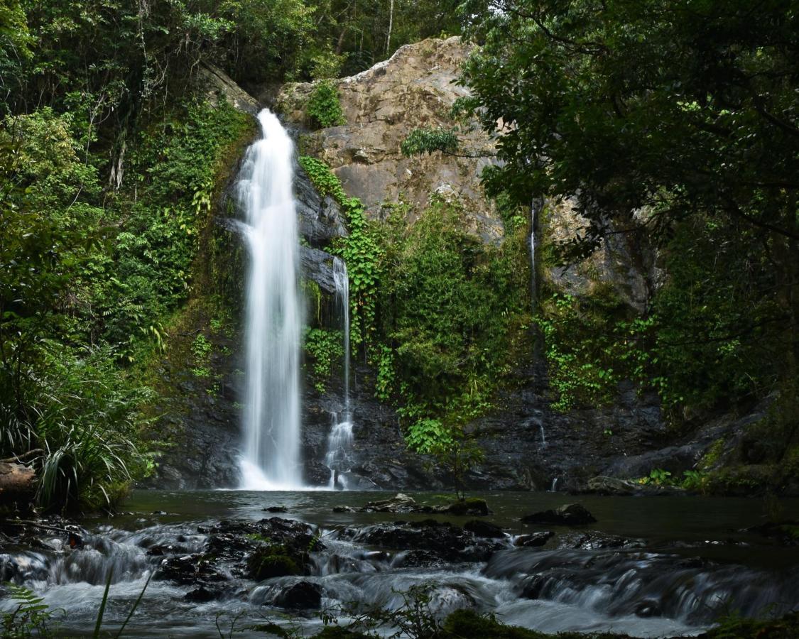 Cassowary Falls Gateway Daintree Exterior photo